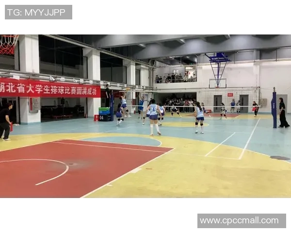 武汉排球队在全国排球战术排行榜中荣登第八名的背后故事与分析